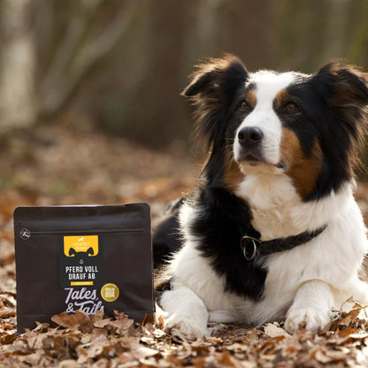 Tales & Tails Leckerli vom Pferd mit Hund