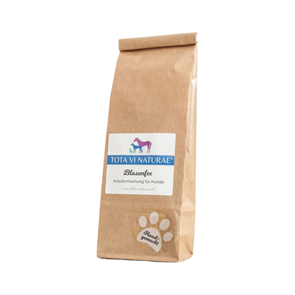Kräuter Blasenfee Packung