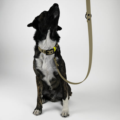 Biothane Hundeleine beige und gelb mit Hund