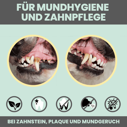 nomsplus Dental-Spray