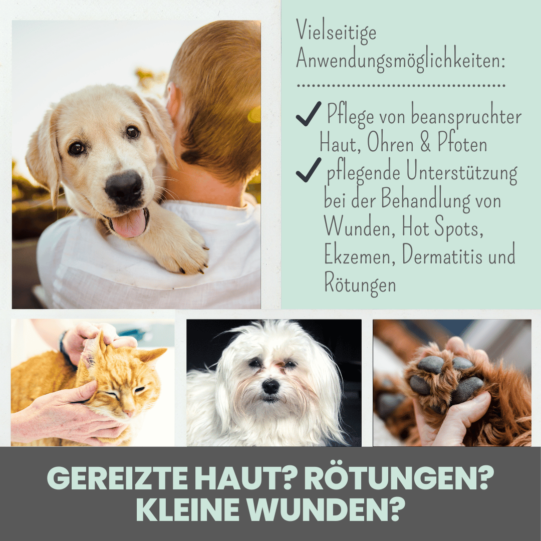 Silberspray für Hunde  | mit 50 ppm