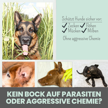 Zpray | gegen Zecken und Flöhe