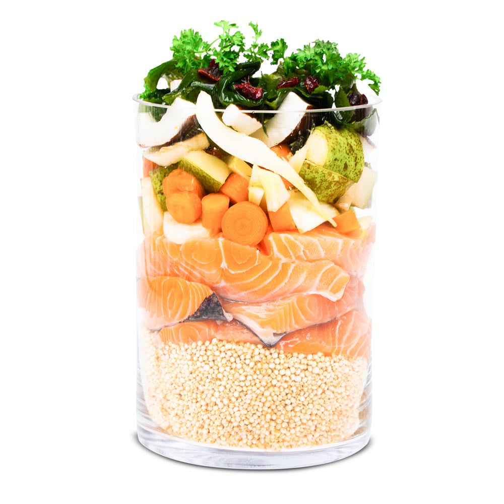Nassfutter Menü LACHS