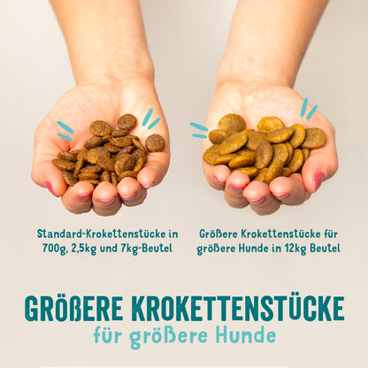 Edgard Cooper Trockenfutter Lachs Kroketten