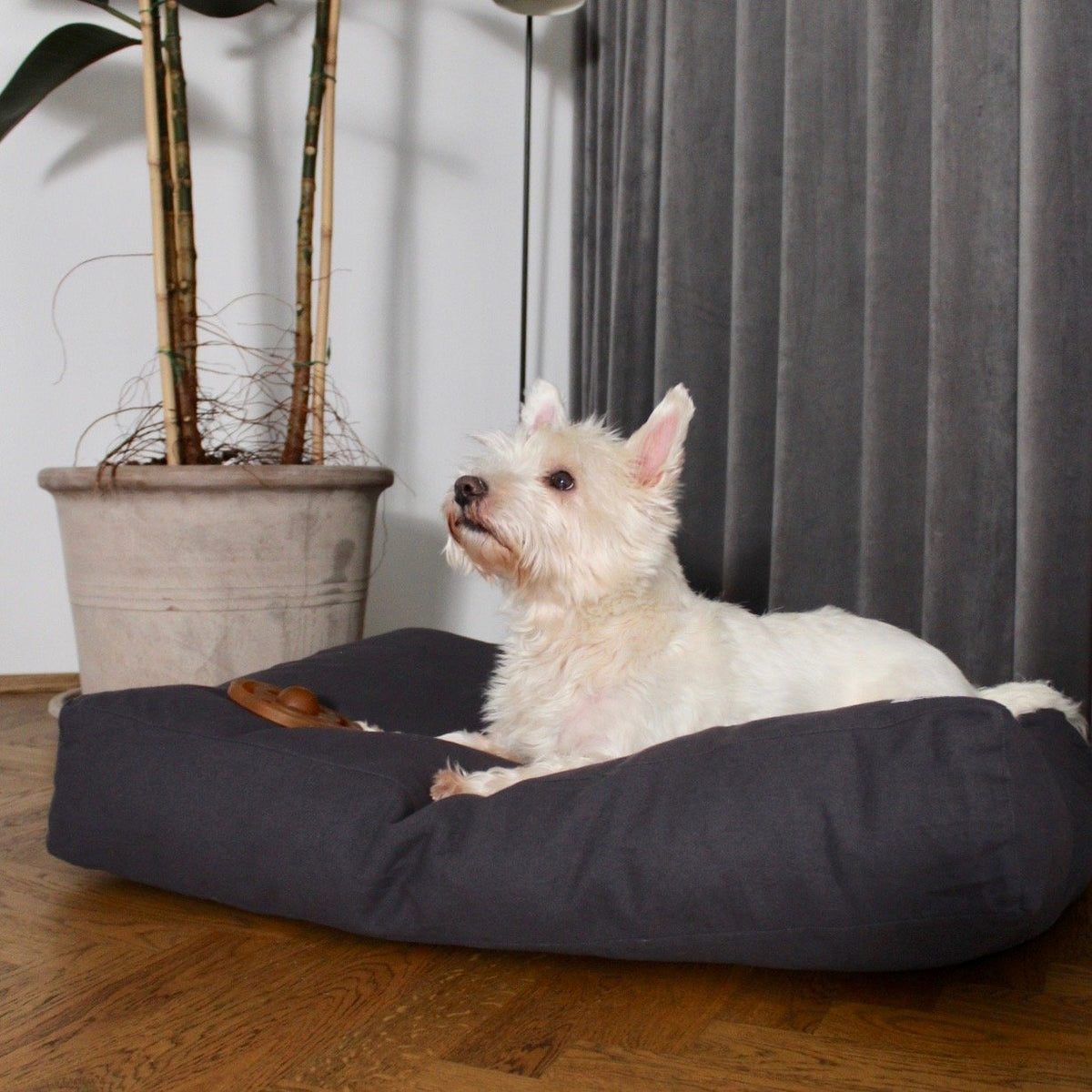 tadazhi Hundebett Tobine warm grey mit Hund