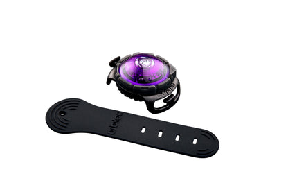 Orbiloc Dog Dual Purple mit Band