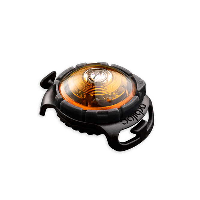 Orbiloc Sicherheitslicht Dog dual gelb