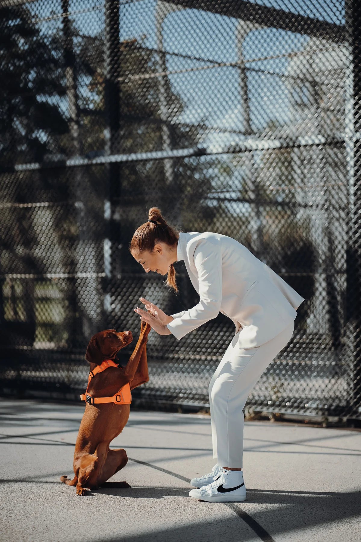 Thomas & Henry Essential Geschirr orange mit Hund und Frau