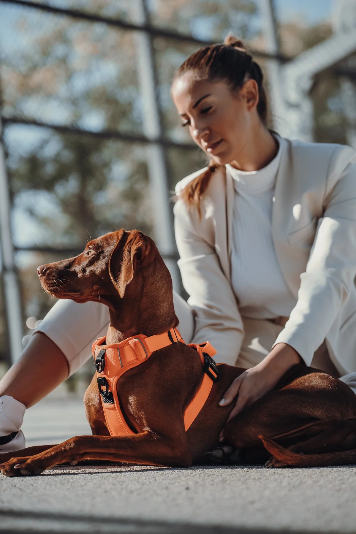 Thomas & Henry Essential Geschirr orange Hund mit Frau