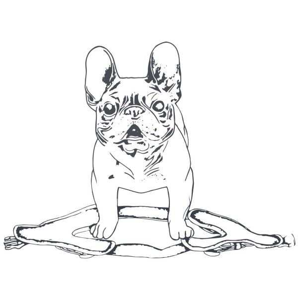 Hundegeschirr "Hilo Comfort" | limette